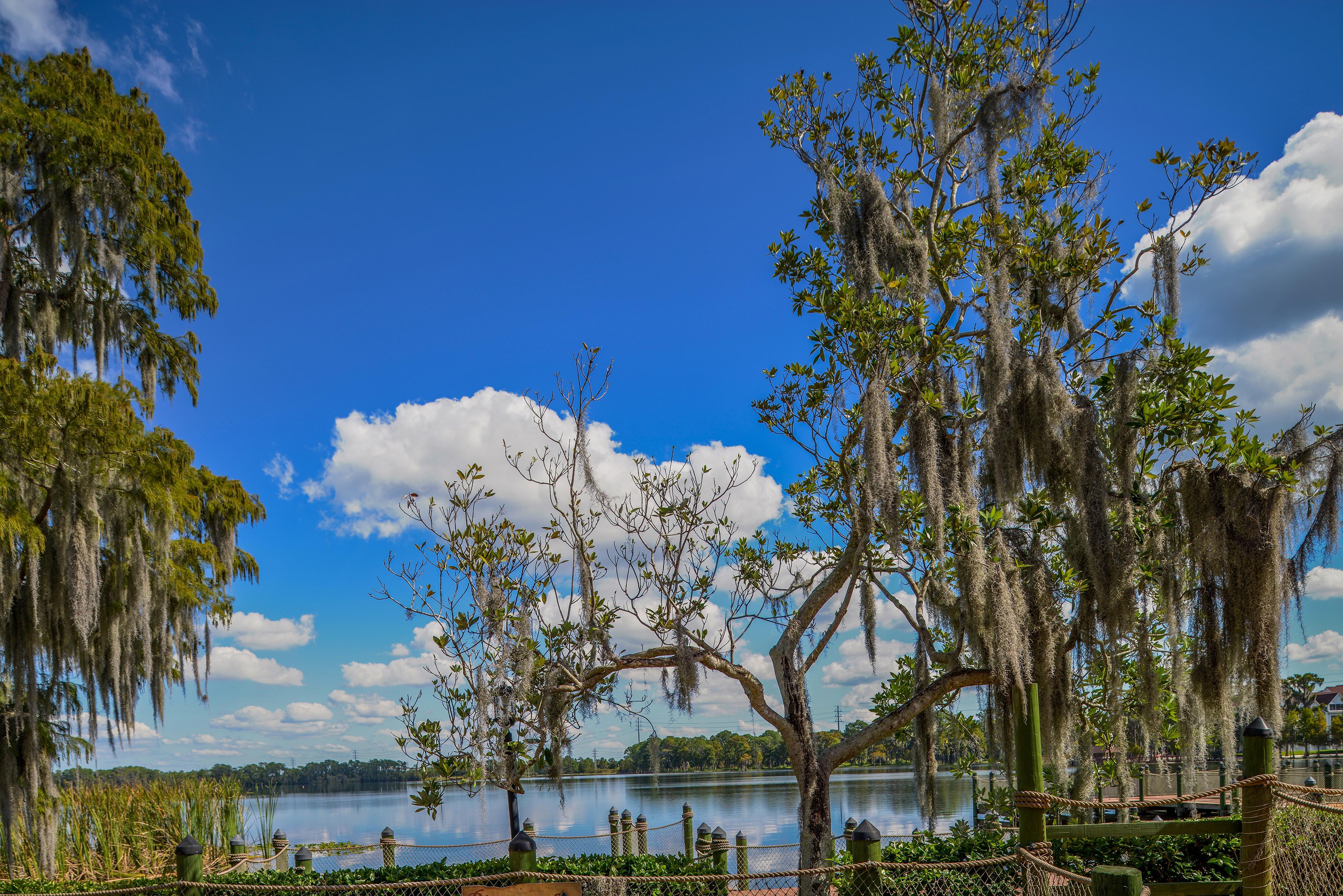 Bryan'S Spanish Cove Lake Buena Vista Exteriér fotografie